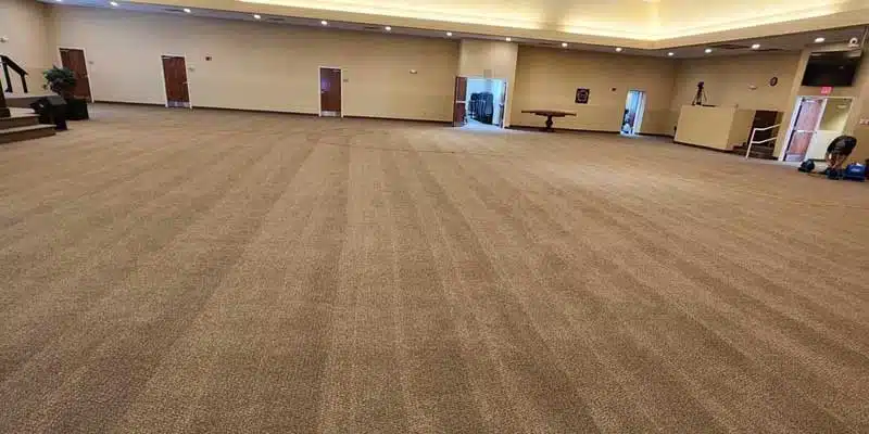 Carpet Cleaning