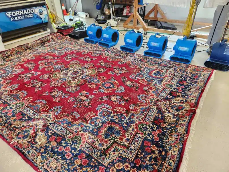 Rug Cleaning Process